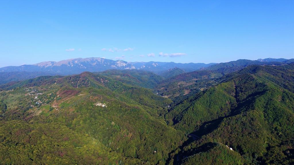 Pensiunea Eden Băile Olăneşti 외부 사진